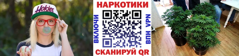 Канабис Новочеркасск