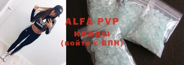 гидра Алексин