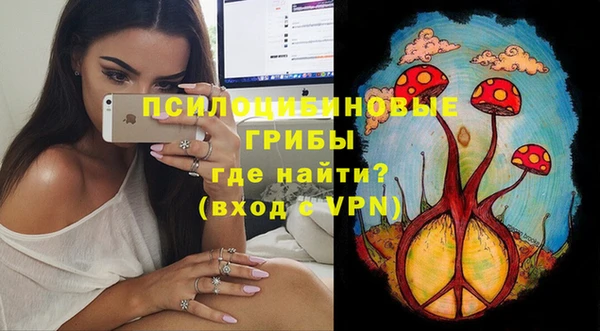 крисы Абдулино