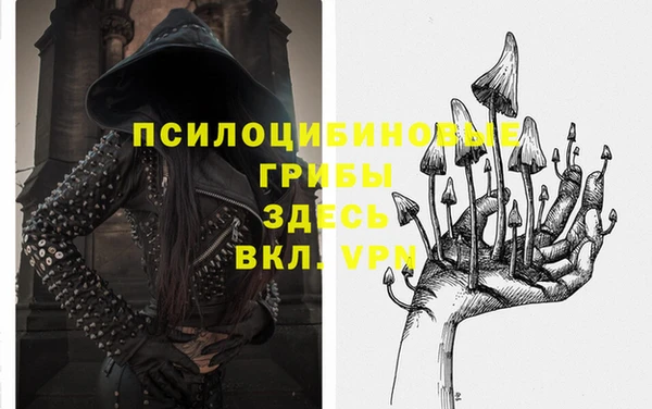 крисы Абдулино