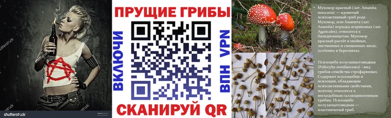 нарко площадка как зайти  Новочеркасск  Псилоцибиновые грибы Magic Shrooms  OMG ссылки 