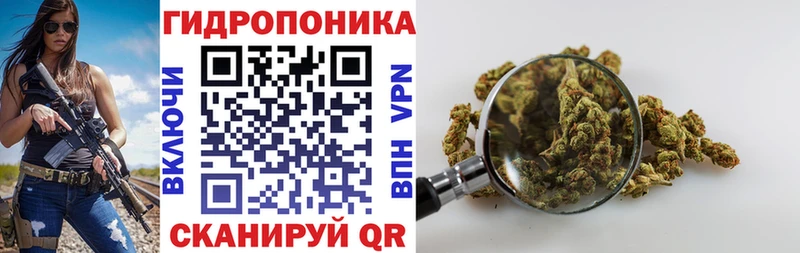 Марихуана SATIVA & INDICA  Новочеркасск 